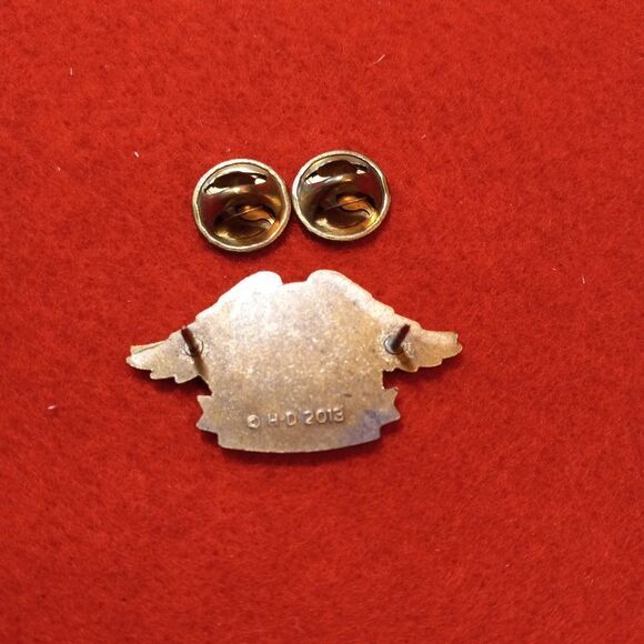 HOG Harley -Davidson owners group pin - Picture 6 of 6